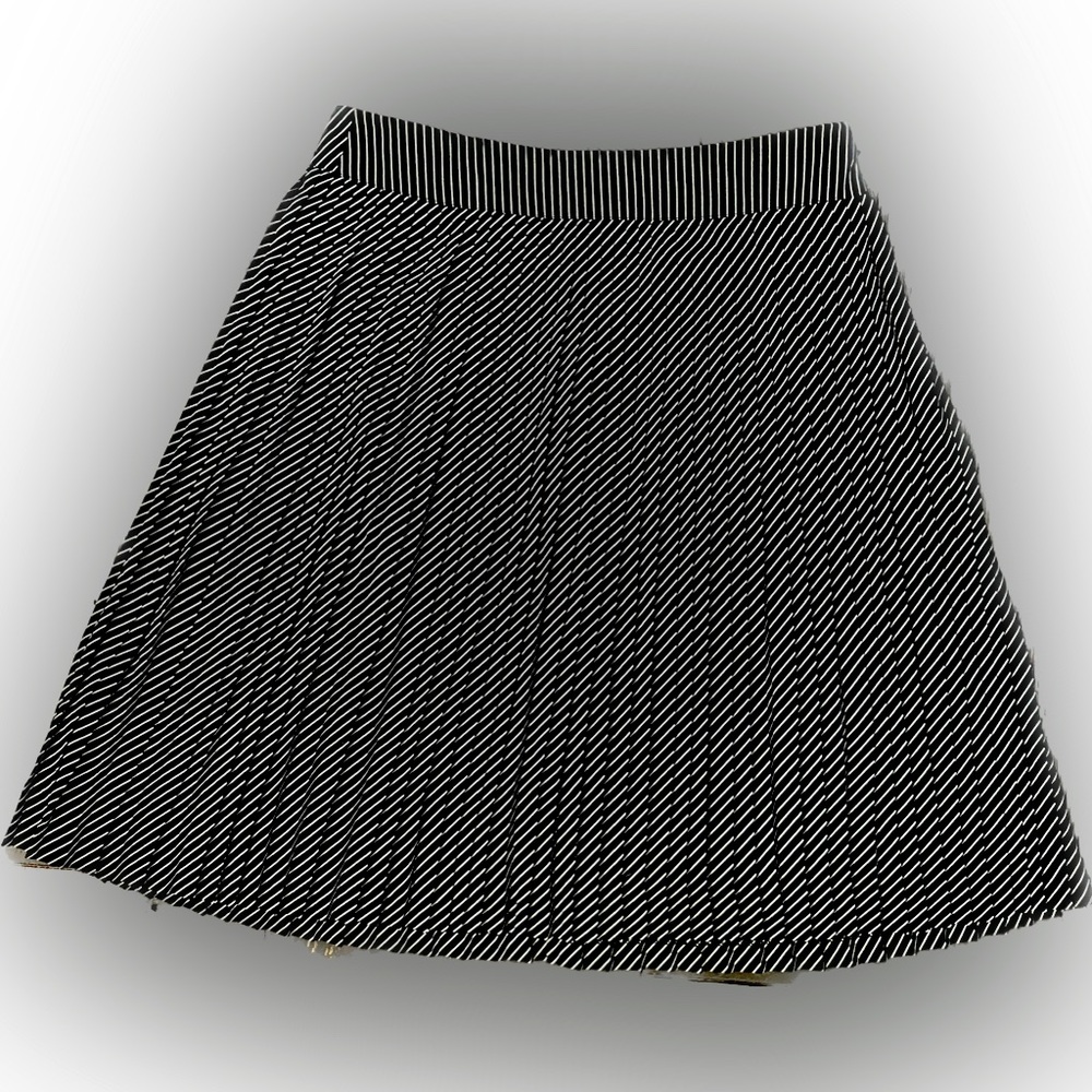 The Limited Women’s pleated Skirt (size S)